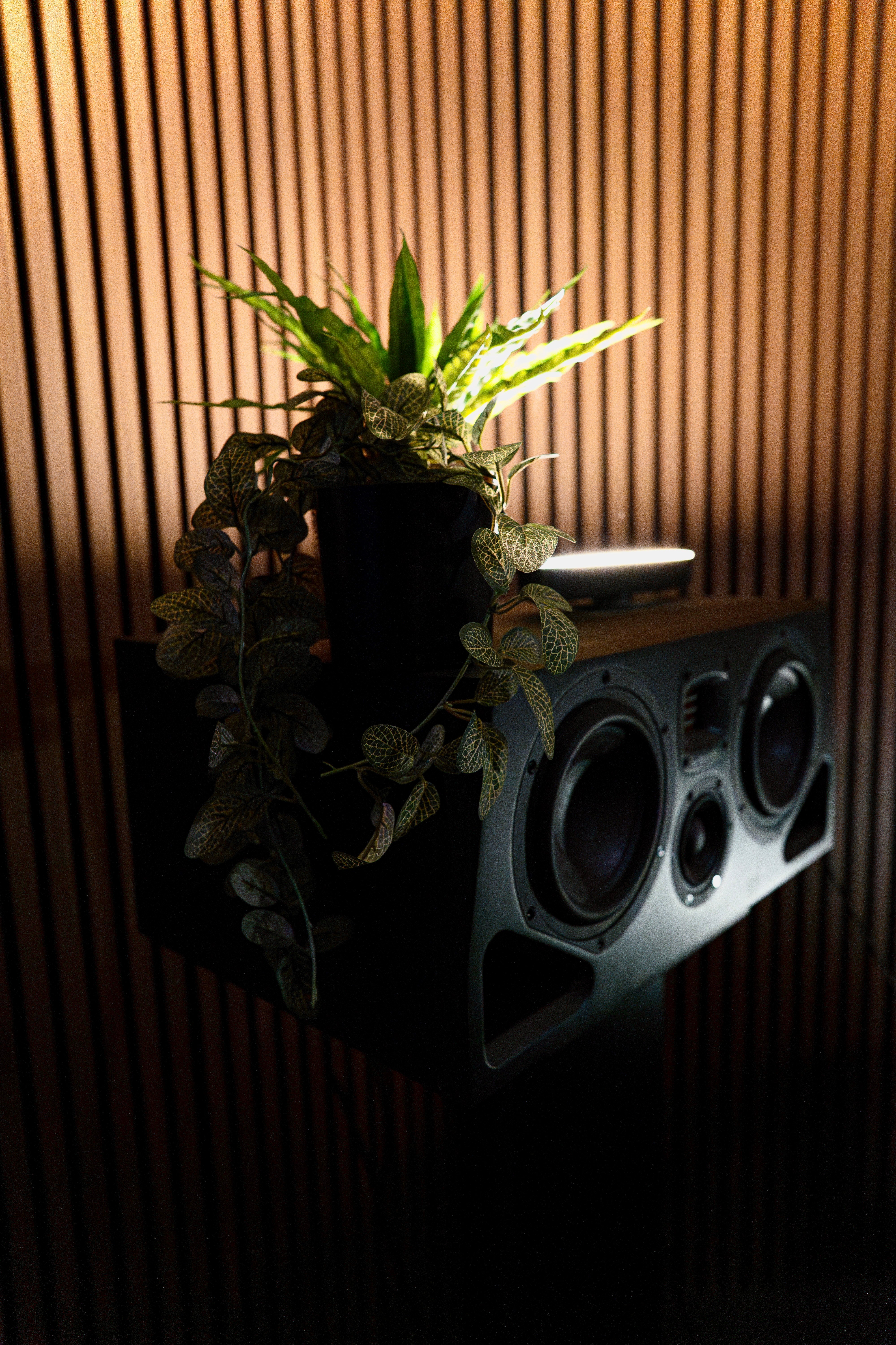 Studio 1 (Recording & Mixing Room)
